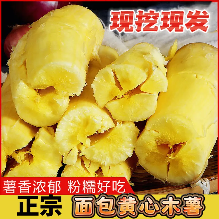广西正宗 灵山黄肉木薯  黄心木薯糖水粉糯 新鲜现挖