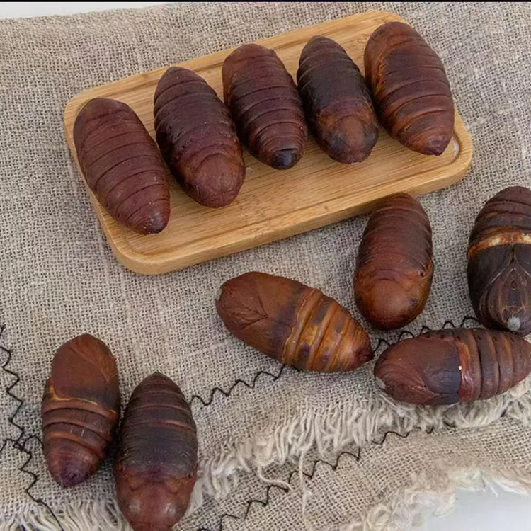 东北特产 新鲜蚕蛹 初级农产品 大黄活蛹 泡沫箱冰袋发货