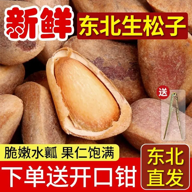 东北红松特大颗粒原味生松子新鲜饱满