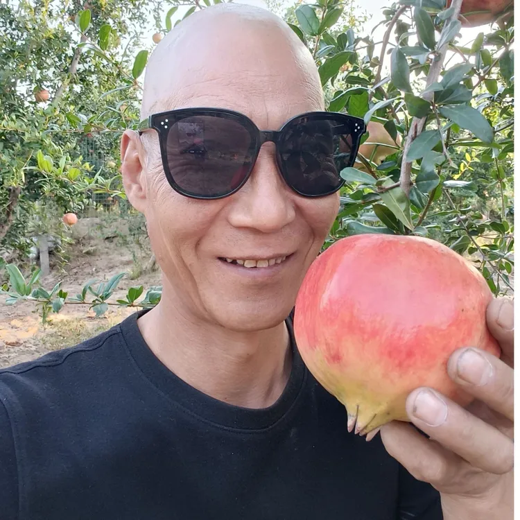 山西老曹正宗突尼斯软籽石榴新鲜现摘饱满多汁当季水果