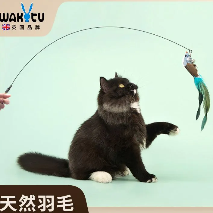 Wakytu英国逗猫棒 长杆钢丝带铃铛耐咬猫咪解闷 小鸟羽毛宠物玩具