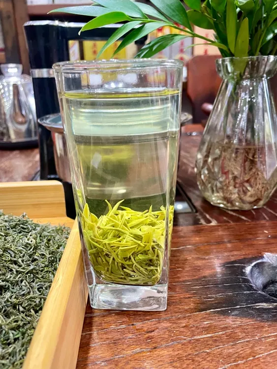 毛尖茶2025高端新茶汉中宁强毛尖羌州茶业明前小毛尖特炒嫩芽绿茶
