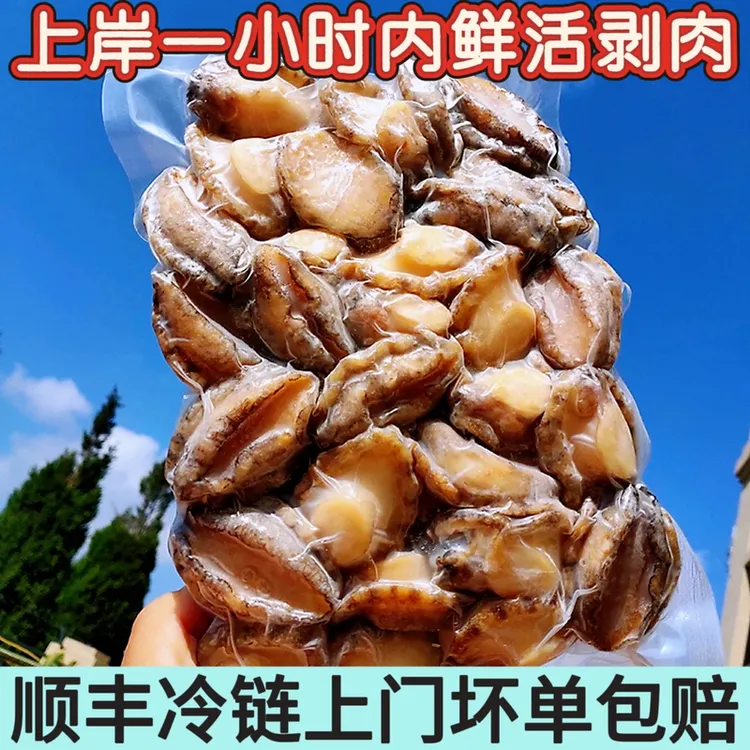 1斤/包 大个鲜冻鲍鱼肉 去壳去内脏处理好 新鲜速冻鲍鱼顺丰发货