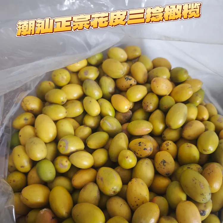 潮阳金灶本地老树花皮三捻橄榄新鲜现摘可生吃煲汤甘香回甘