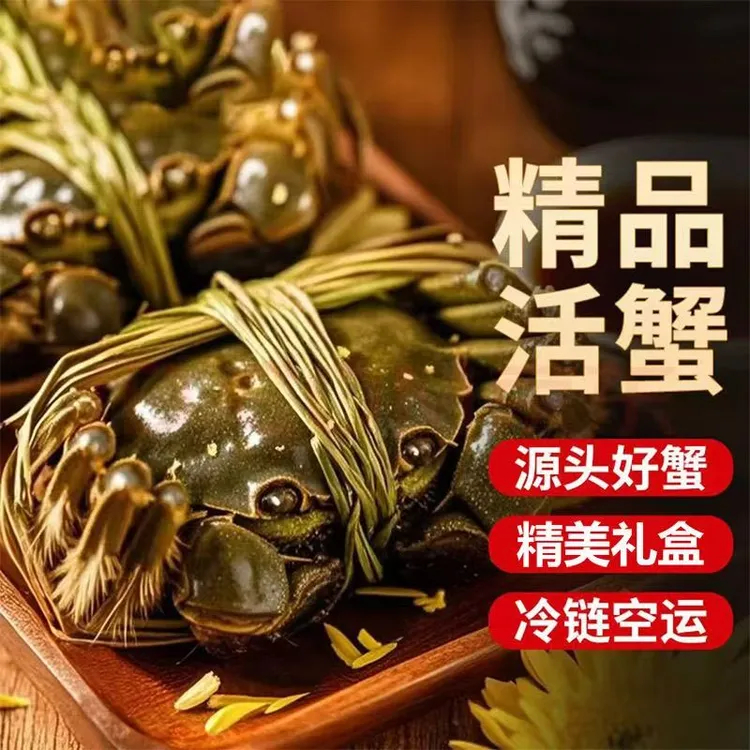 现捕现发2-1.8两全母蟹大公玗螃蟹现捕现发8只送2只