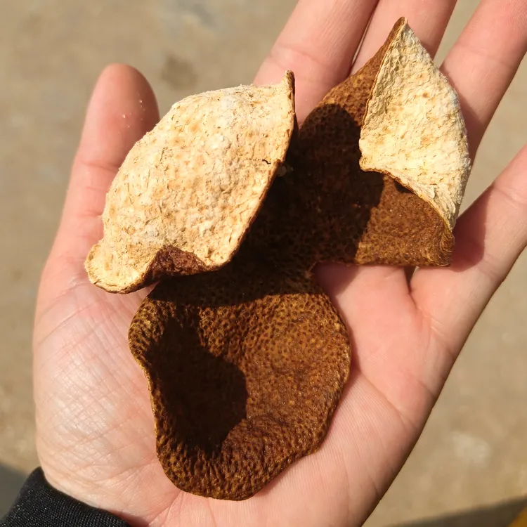 2023年广西浦北自家果园生晒大红皮统货（13年以上树龄）