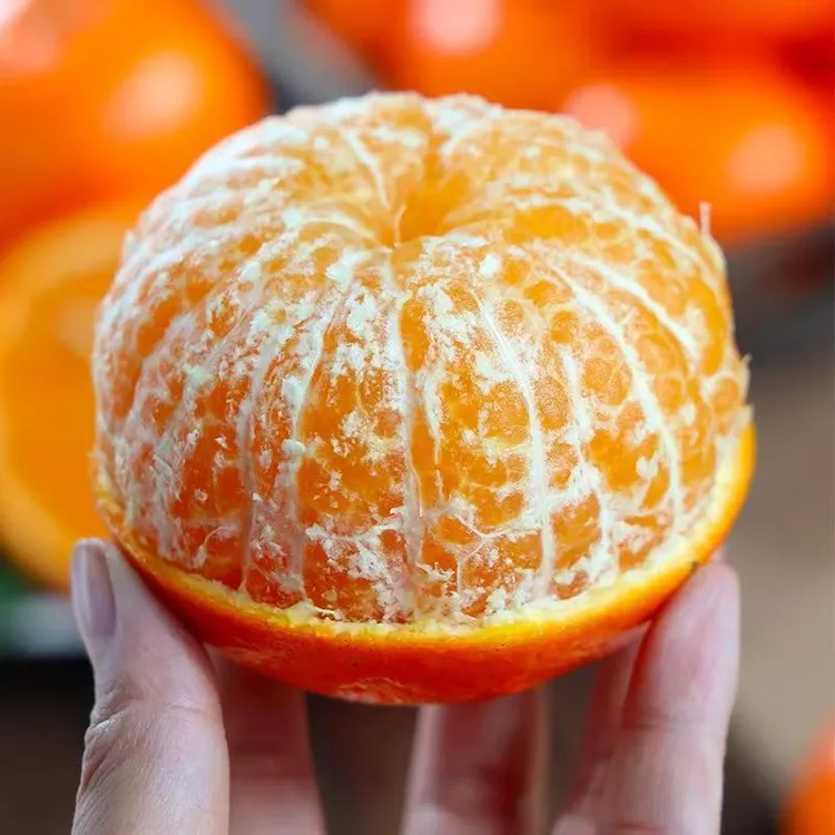 广西武鸣沃柑汉邦超大水果当季暴汁果冻现摘现发特大富含维C橘子