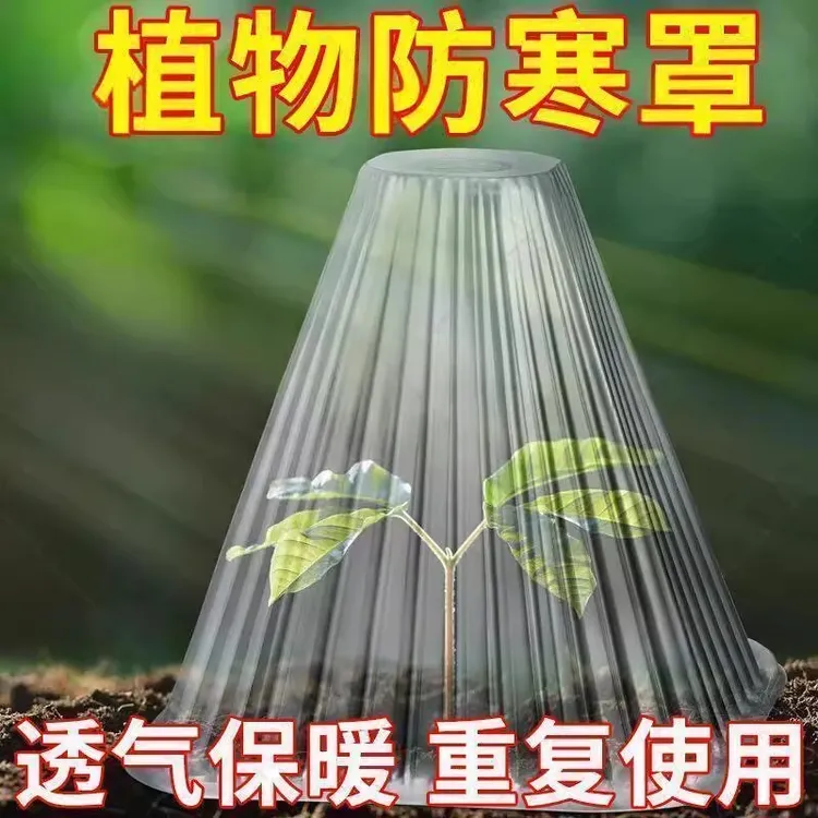 保护罩育苗床包加厚幼苗植物钟罩大棚菜苗霜冻大号保护防虫罩育苗商品图