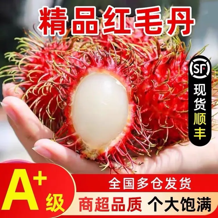 【顺丰冷链】甄选精品泰国老树红毛丹当季热带水果新鲜采摘坏果包赔