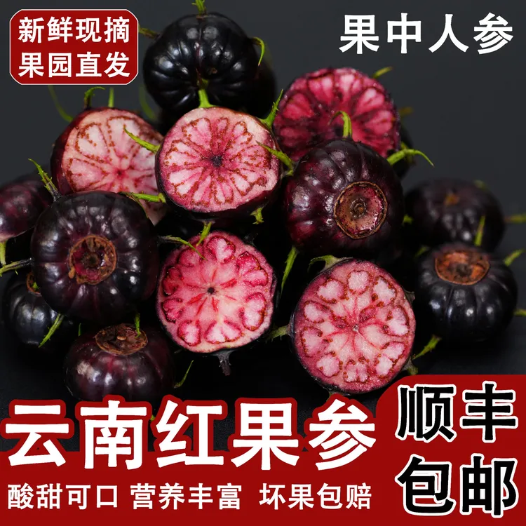 【顺丰彩箱发货】云南红果参稀有果实蜘蛛果文山新鲜采摘发货