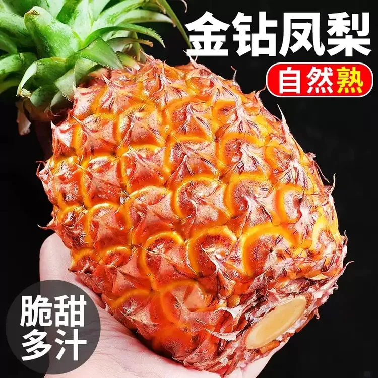 海南金钻凤梨新鲜现摘树上熟香甜多汁应季水果广西发货