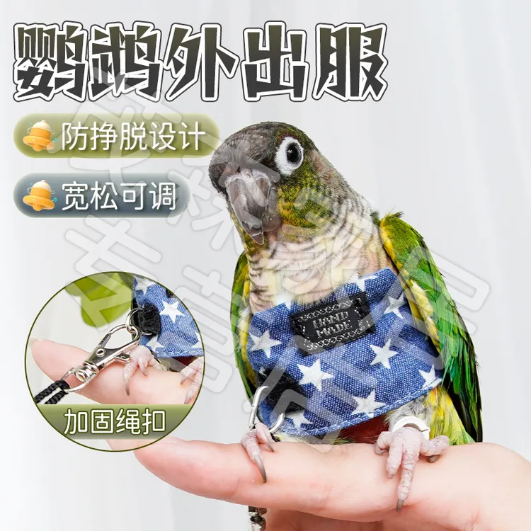 【轻盈不勒 遛鸟神器】鹦鹉放飞外出牵引服防止飞丢鸟用放飞绳 XL