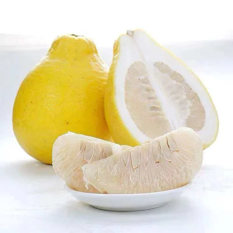 广西容县正宗沙田柚新鲜水果清甜多汁应季白心高山老树礼盒袋装