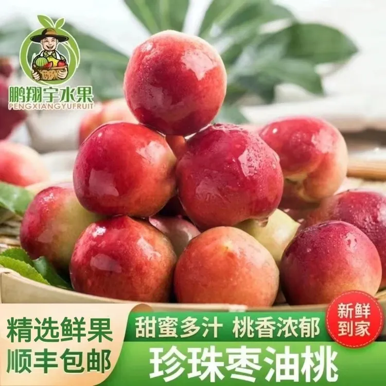 【顺丰包邮】正宗珍珠枣油桃脆甜枣桃珍珠桃枣蜜桃当季新鲜孕妇水果