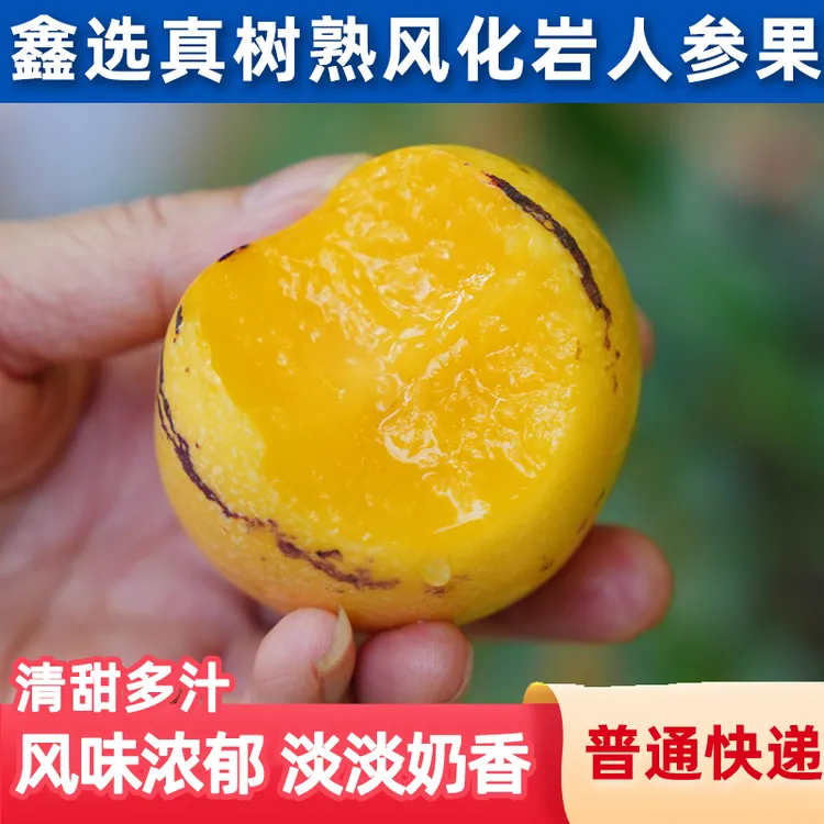 鑫选 云南风化岩树熟人参果4-5斤清甜清香多汁新鲜水果产地直发