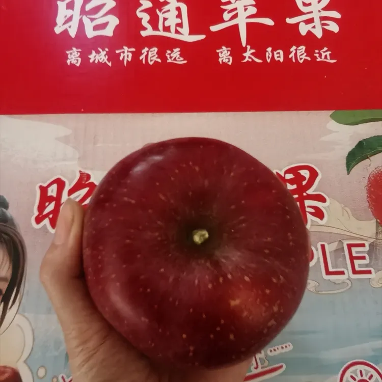 云南昭通丑苹果脆甜多汁