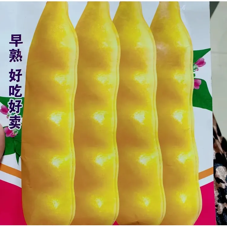 【香蕉豆角种子】香蕉豆角种子家庭阳台小院盆栽地栽四季种植