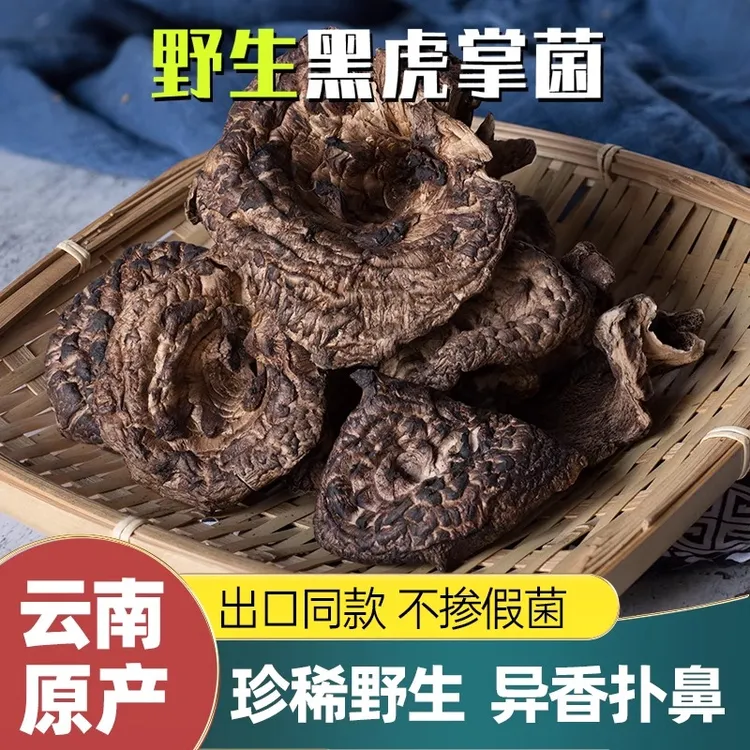 云南黑虎掌菌干货营养美味食用菌野生虎掌菇煲汤蘑菇香味十足特产