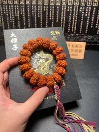 高端头货夹板（12号）