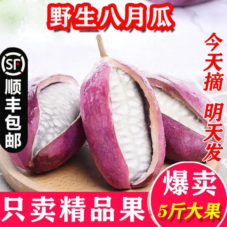 八月瓜贵州云贵高原新鲜仿野生现摘当季稀有水果香甜软糯顺丰包邮