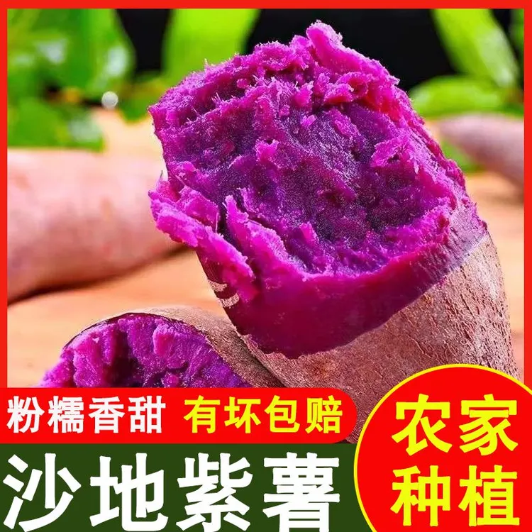 沙地紫薯新鲜现挖紫番薯软糯香甜地瓜板栗红薯蜜薯蔬菜当季鲜果