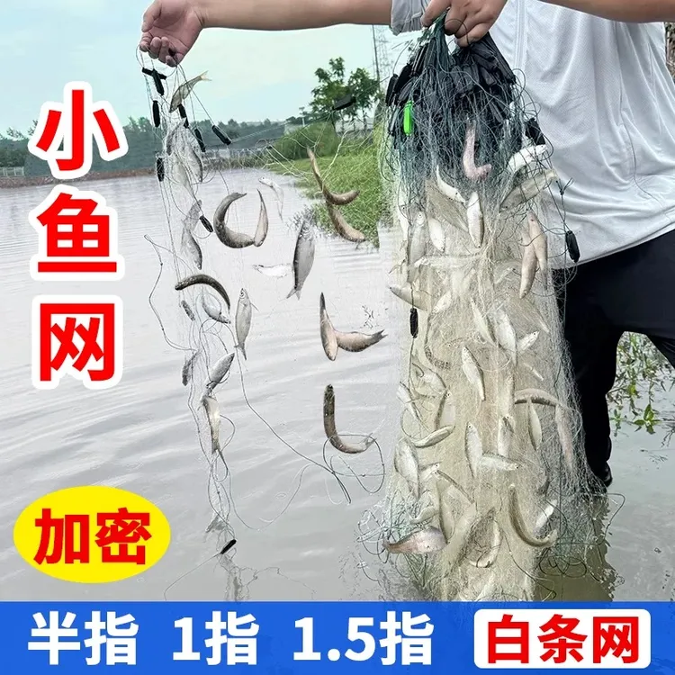 渔网粘网三层浮网沉网捕鱼网小鱼网小外套网白条餐条马口专用鱼网