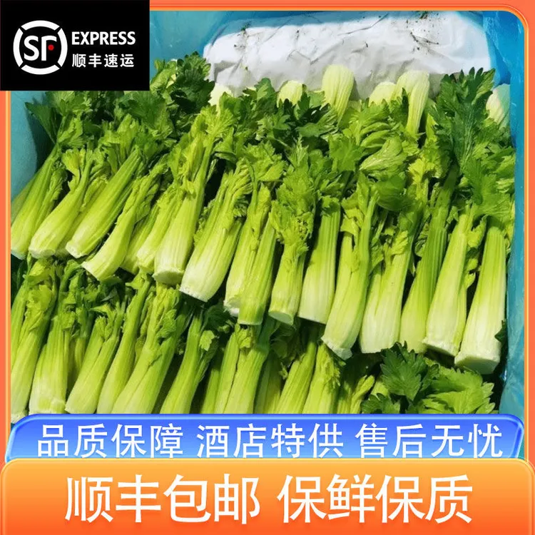 顺丰/EMS空运新鲜水果清芹芯当季清芹芽即食西芹嫩芽酒店特菜芹菜
