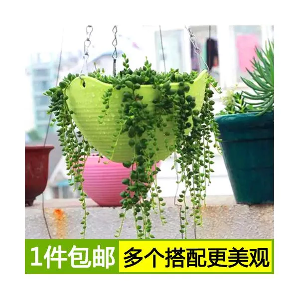 花盆吊盆大号加厚吊篮挂墙栏杆绿萝多肉植物花卉爬藤垂吊链挂包邮