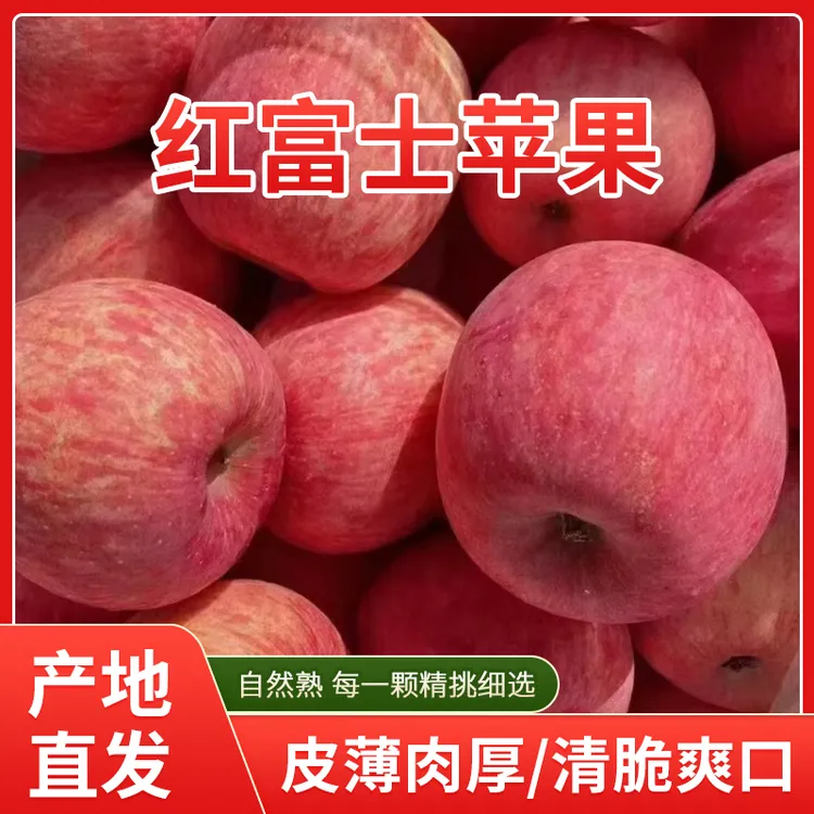 山西隰县红富士苹果产地直发脆甜多汁精选精品果12枚装