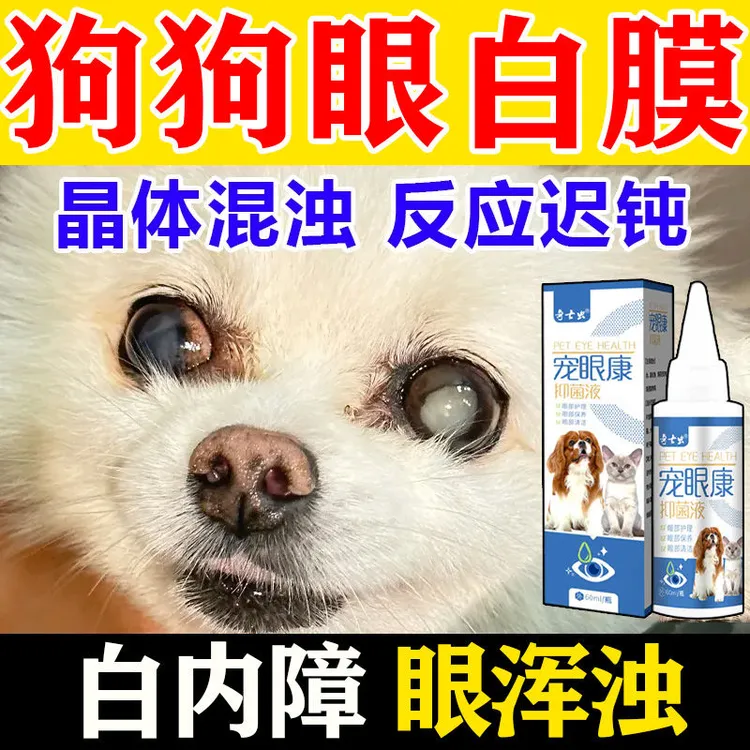 宠物滴眼液狗狗白内障眼睛白膜红肿去泪痕眼屎多老流泪护眼液