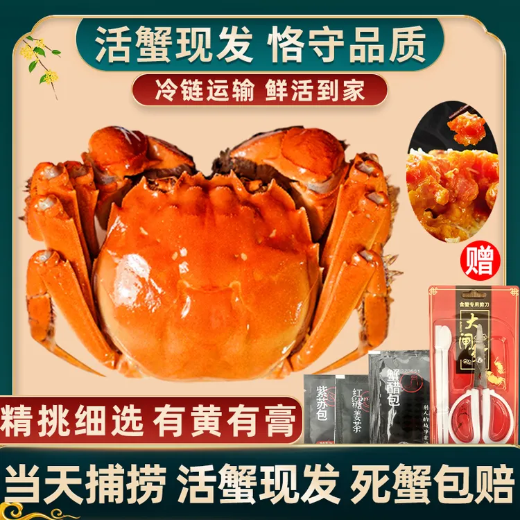 【活蟹】惠澄大闸蟹6两公蟹8大只全公蟹优质新鲜大闸蟹冷链包邮8