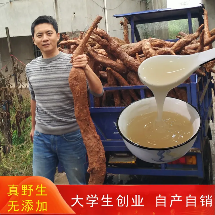 葛之味 野生葛根粉新鲜农家天然葛根送葛片茶代餐江西特产高品质