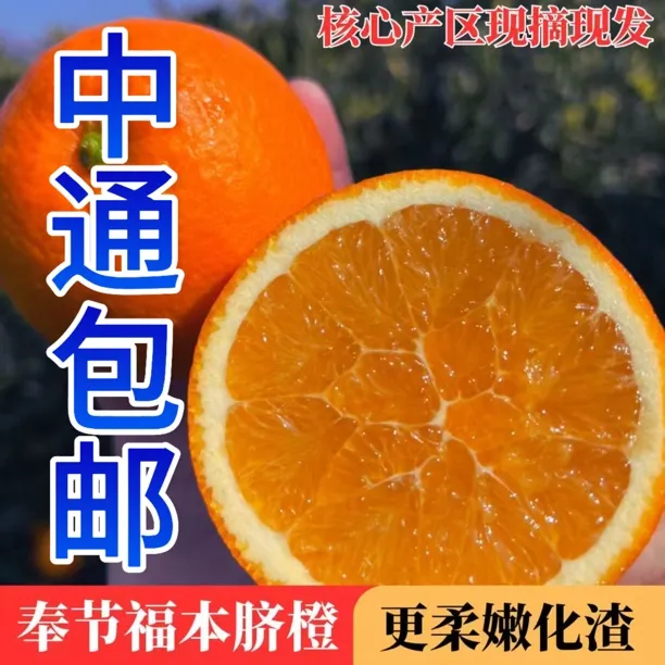 【活动】正宗奉节江边福本东方好客鲜橙柔嫩化渣香甜多汁产地直发