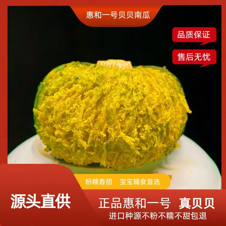 惠和一号正宗贝贝南瓜粉糯香甜板栗味新鲜当季辅食