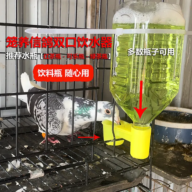 鸽子双口饮水器喂水器虎皮玄凤自动鸟用大容量