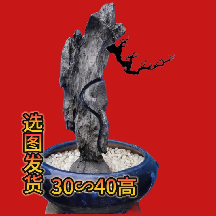 开槽天然英德奇石大尺寸附树石盆景造型奇特形态多变景观石材