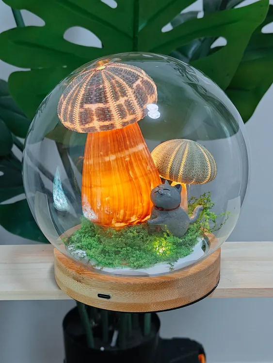 网红爆款ins风玻璃罩创意手工贝壳海胆壳小夜灯卧室氛围摆件轻奢