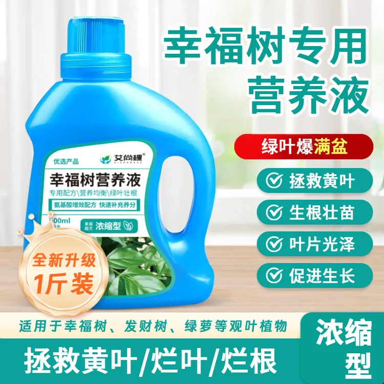 幸福树专用营养液高浓缩型室内盆栽花卉花肥料营养液通用型500ml