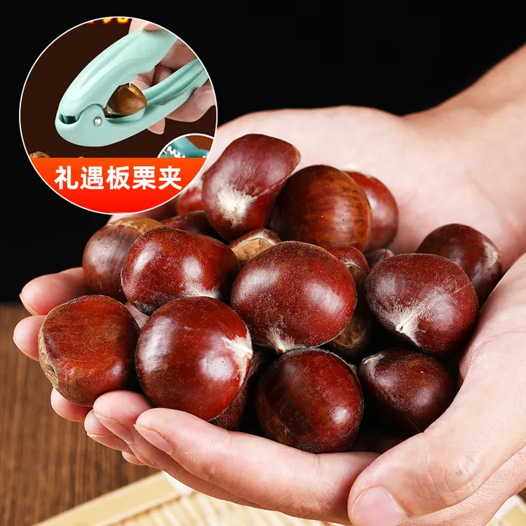 【品质推荐】云南高山老树新鲜板栗3斤4.5斤可蒸烤煎煮TY送板栗夹
