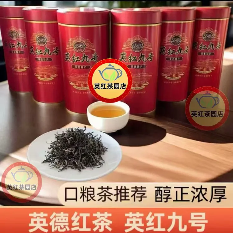 英德红茶英红九号罐装红茶浓香英红九号红茶