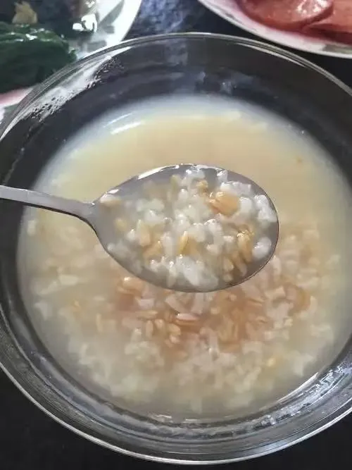 新鲜脱皮大麦仁可熬粥，可打豆浆，软糯香甜，老少皆宜