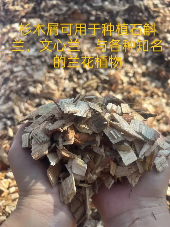 杉木屑混合料—兰花石斛专用纯天然木屑（疏松透气保水保湿生根壮苗