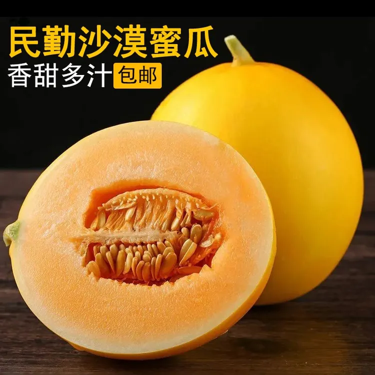 甘肃民勤蜜瓜沙漠蜜瓜8-9斤装金红宝甜瓜新鲜水果