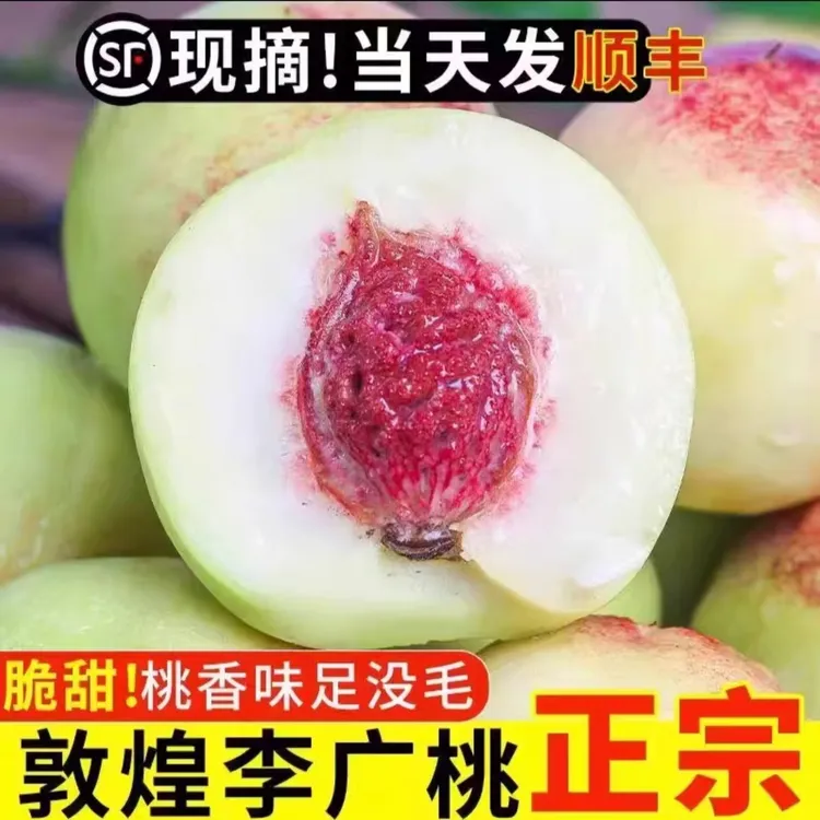 敦煌李广桃 紫胭桃 桃子现摘空运速发整箱包邮香甜可口果园直发
