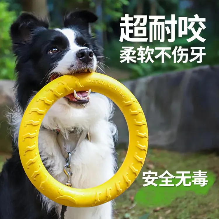 狗狗飞盘耐咬训犬解闷神器宠物磨牙球自嗨耐啃狗狗狗玩具