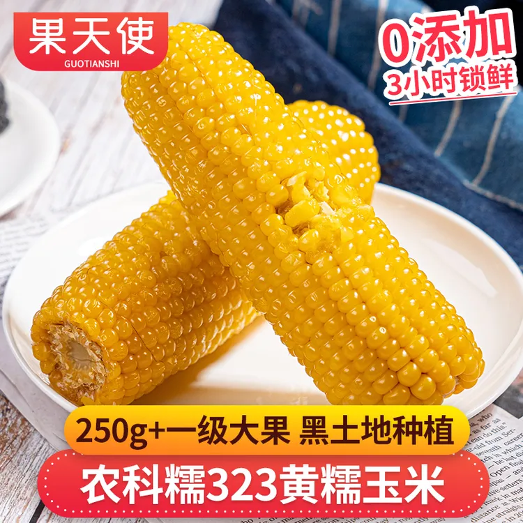 【果天使】黑龙江农科糯323黄糯玉米8根装香甜软糯蔬菜玉米
