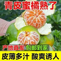 现摘头茬新鲜青皮蜜桔薄皮多汁酸甜爽口应季水果L