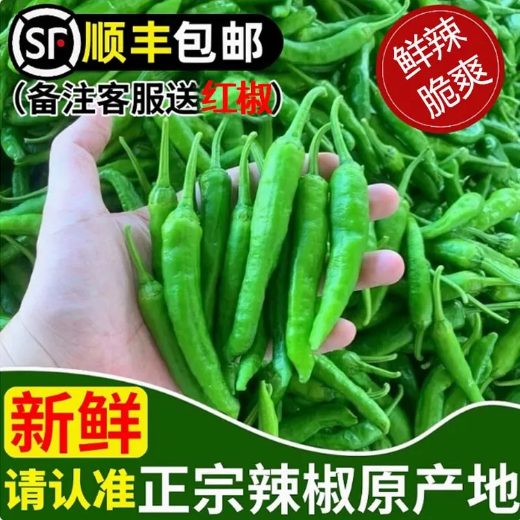 赣南农村蔬菜薄皮青椒产地直发椒香浓郁中辣辣椒炒肉擂椒顺丰包邮