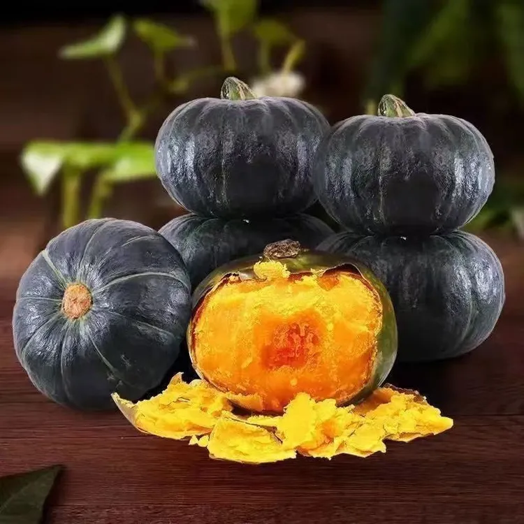  正宗沙漠贝贝南瓜粉糯香甜板栗味可做宝宝辅食粗粮