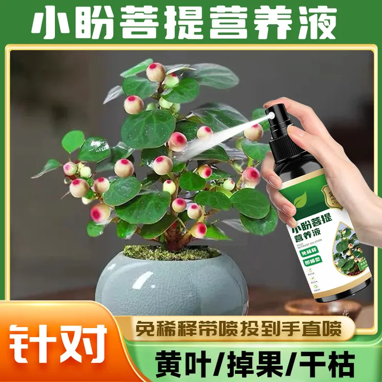 小盼菩提专用营养液促生长结果保果专治黄叶掉果盆栽正品有机肥